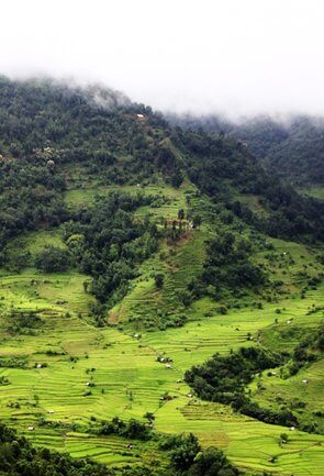 Hill Stations in Nagaland