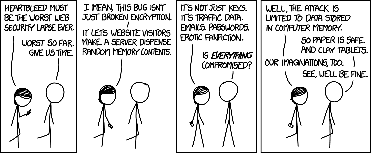 a graphic visualization of the Heartbleed vulnerability