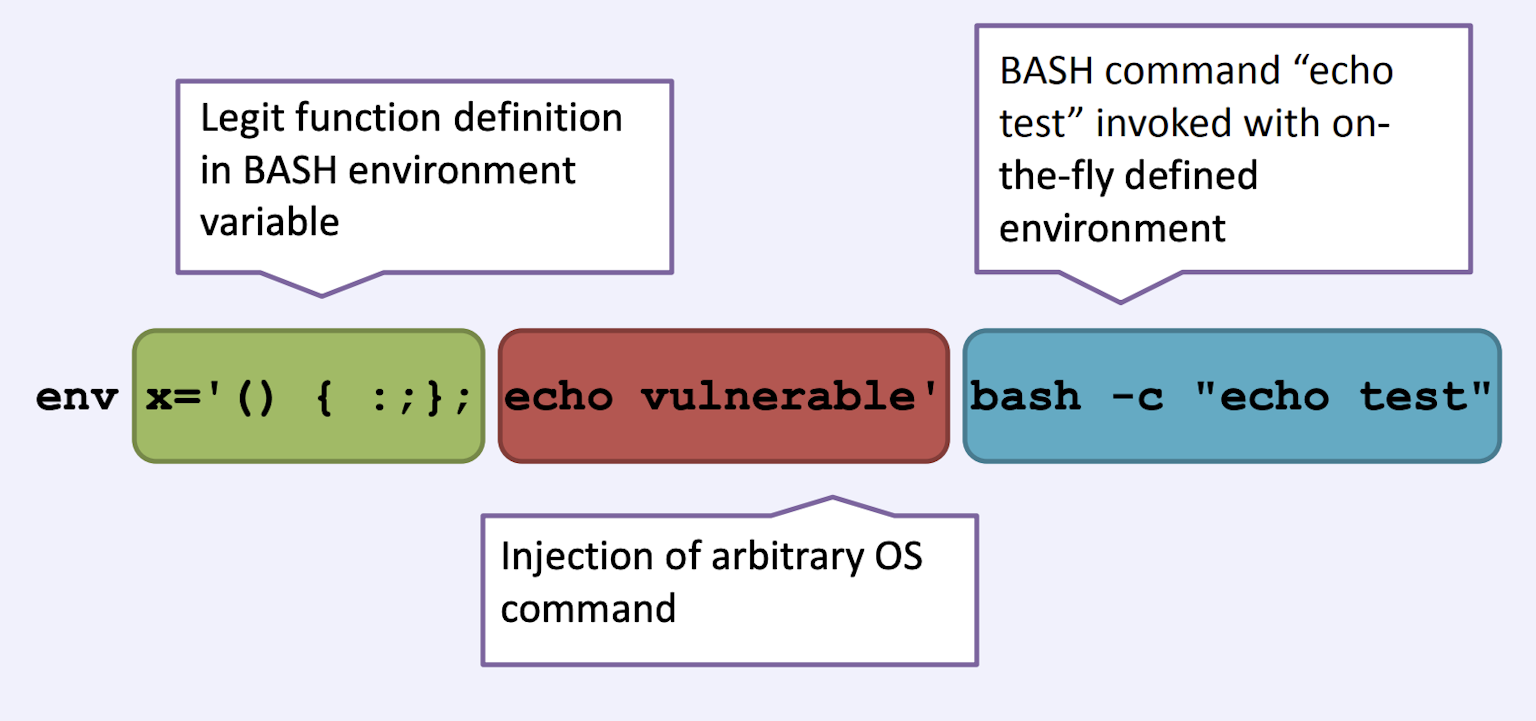 the Bash shell explained