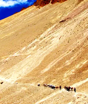 Remote Zanskar Trek